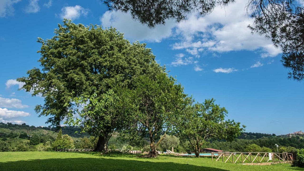 Agriturismo Bio Le Macchie Alte Манчиано Экстерьер фото
